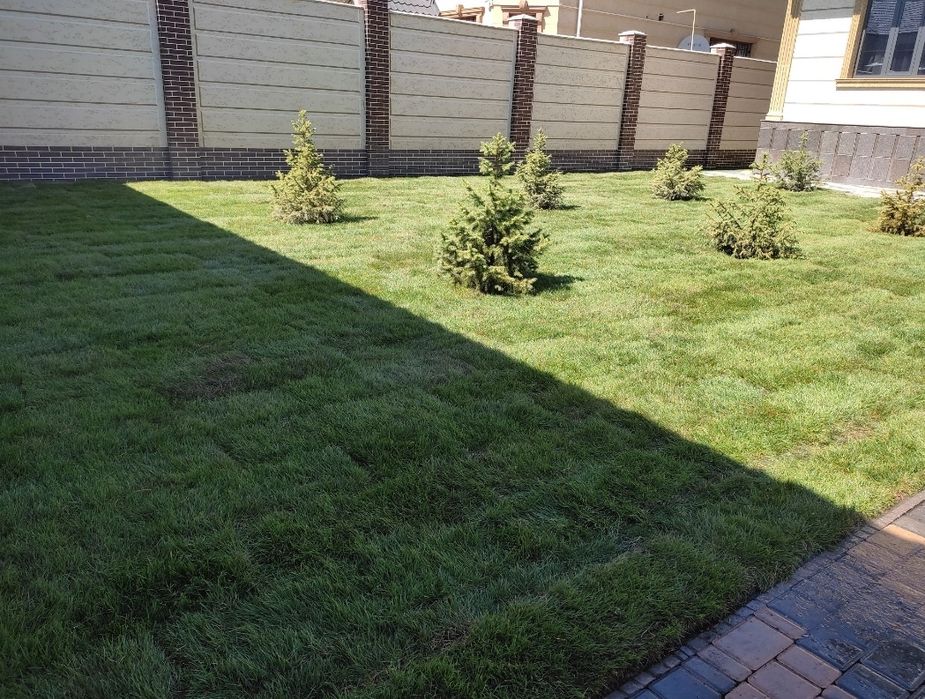 Вечно зелёный сад