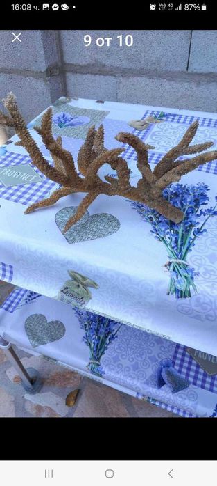 Морски артикули декорация