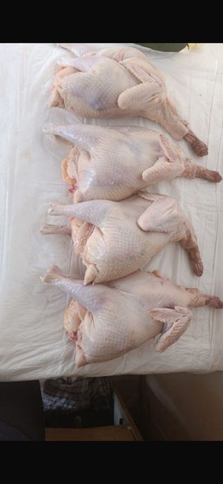 Бульонные домашние куры.