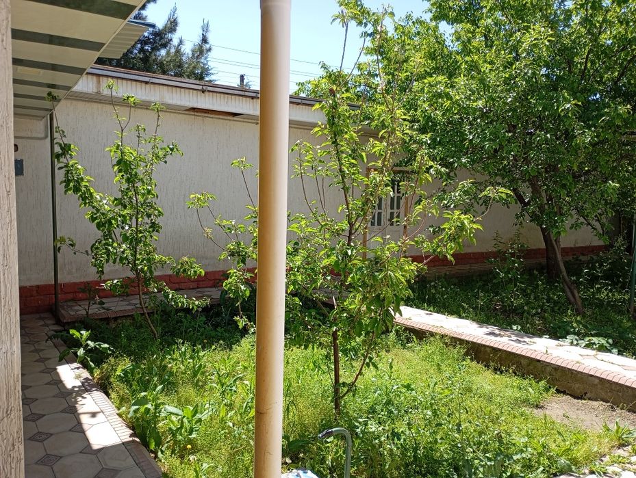 Ҳовли уй сотилади