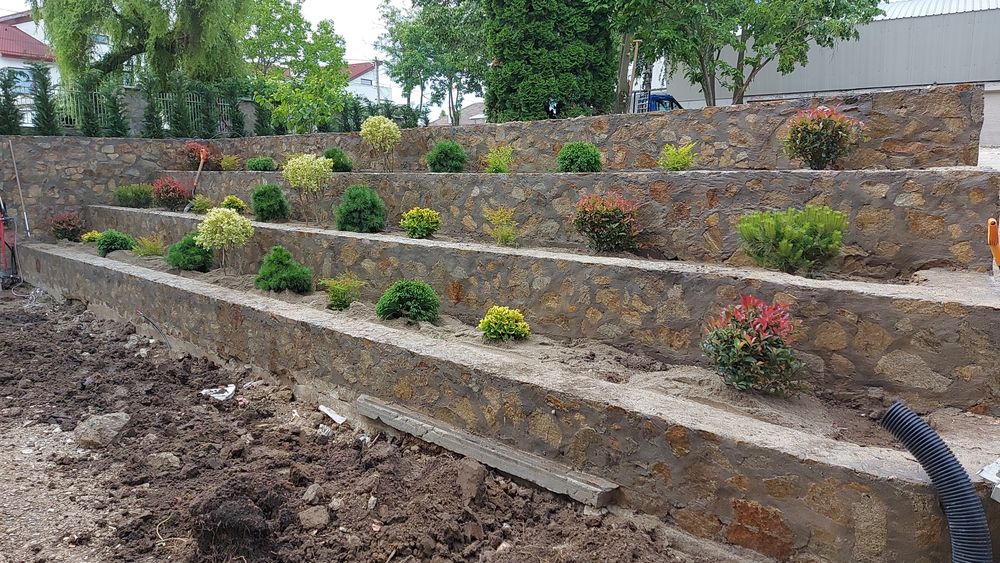 Amenajare gradina spatii verzi