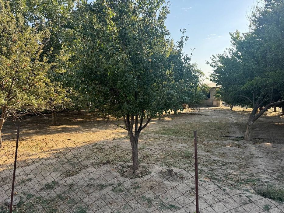 Участка сотилади, 10сотик