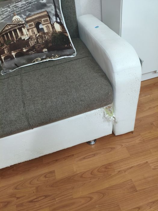 Отдам ! Даром! Срочно!