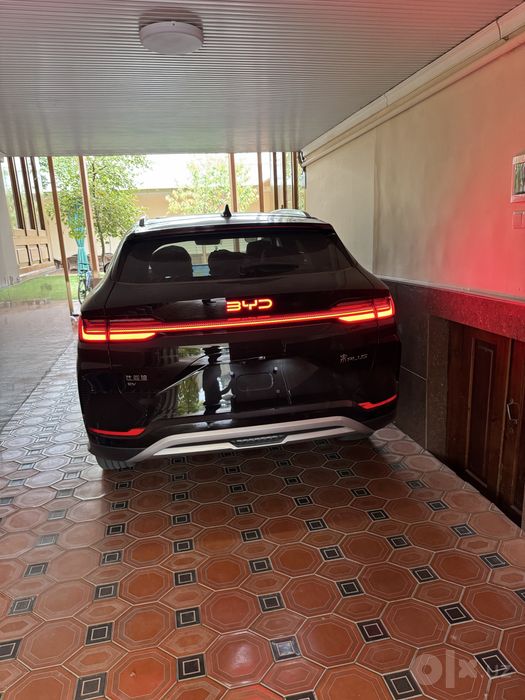 Byd chempion restyling 605