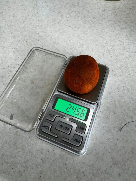 Сиырдын өт тастар