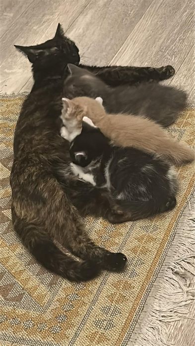 Эксклюзивное предложение