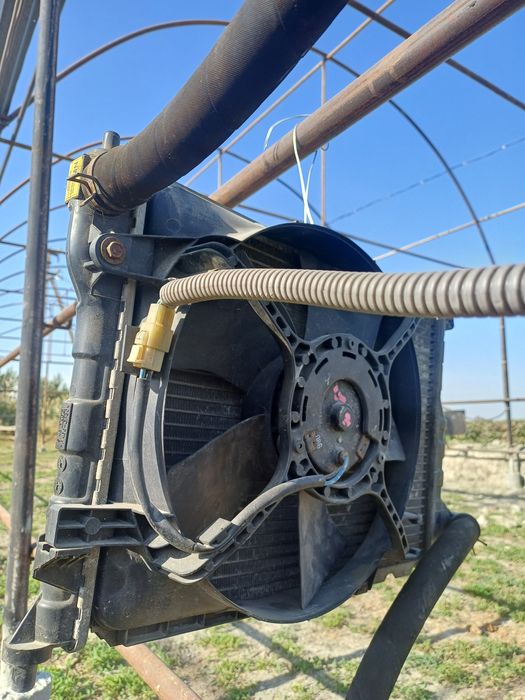 Radiyatir matiz sotiladi.