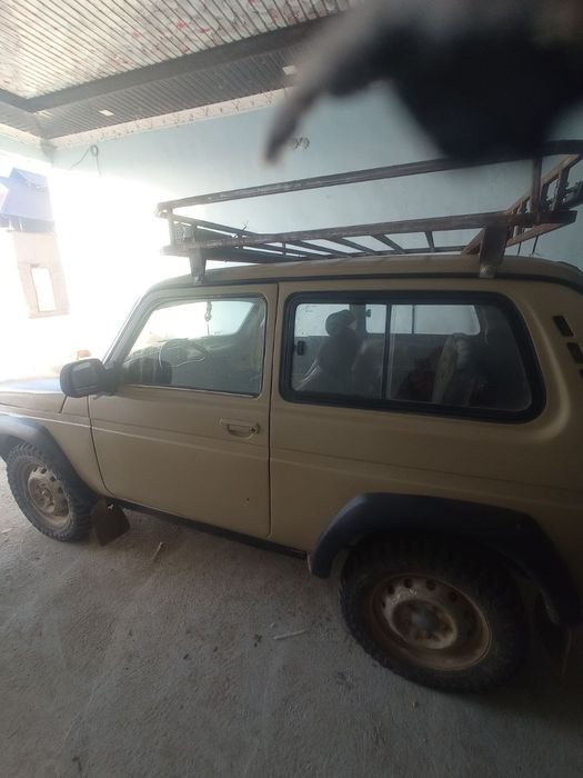 Niva sotiladi srochna peredok bor