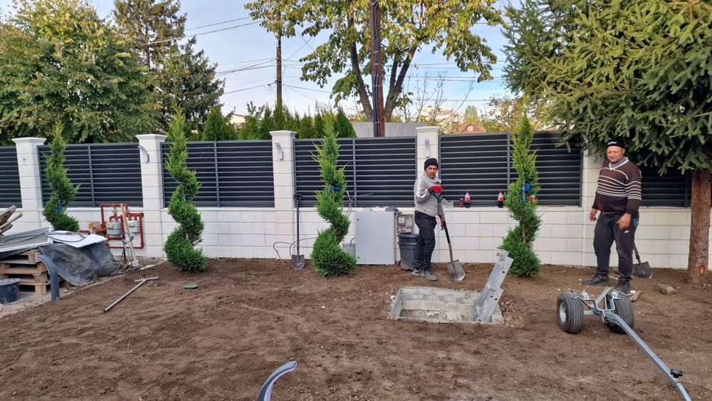 Plante ornamentale diversificate orice specie