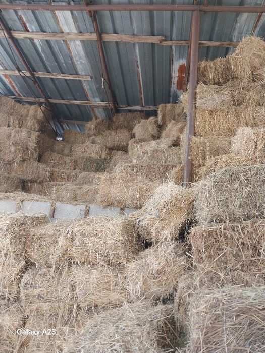 Сено шөп сатылады