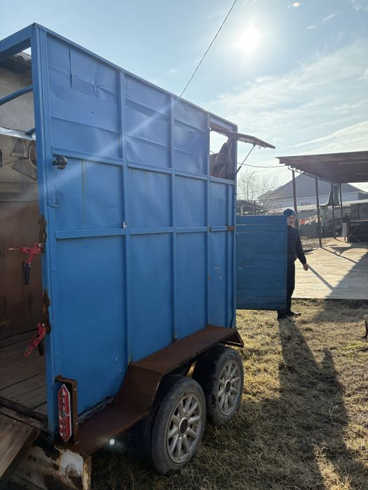 Ат барба сатылады