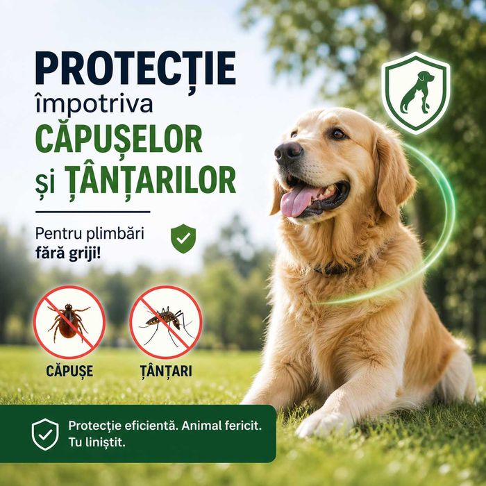 Servicii DDD - Deratizare - Dezinsectie - Dezinfectie - Societate autorizata - Gandaci , Tantari , Plosnite, Capuse - preturi avantajoase