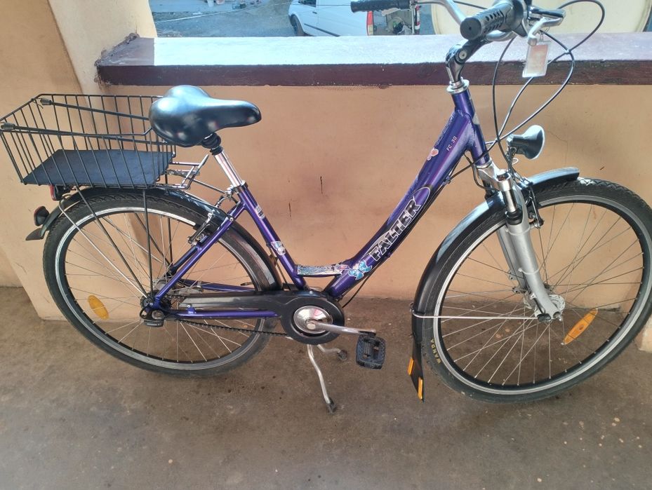 Bicicleta unixex