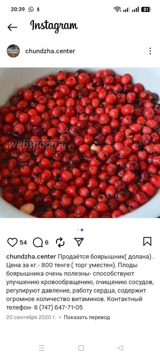 Долана  ( боярышник)