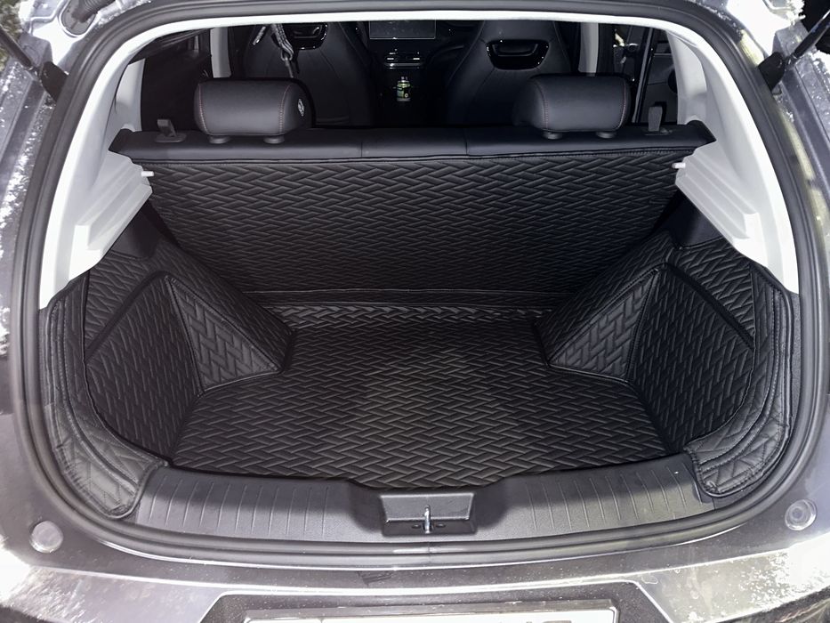 9D polik / коврики для Byd E2
