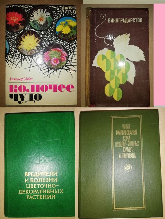 Кактусы Виноградарство Плодово-ягодные Цветы