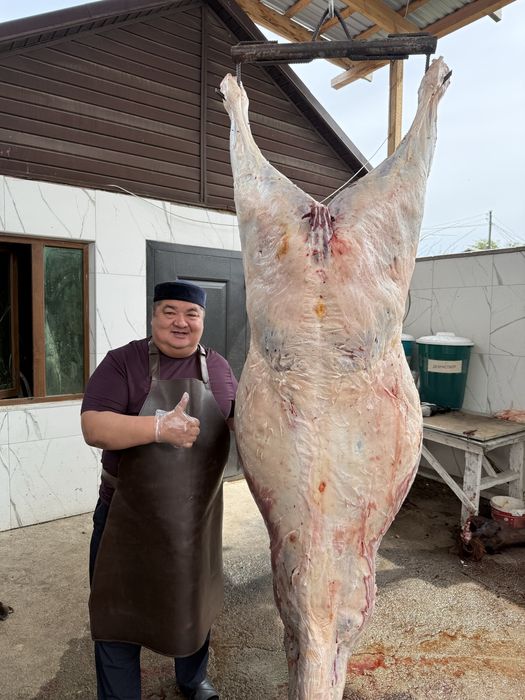 Секс порно үлкен әтеш видео