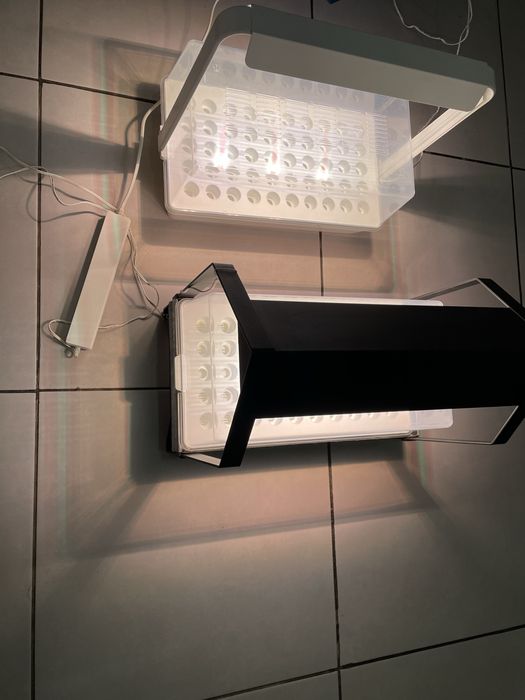 Sera Ikea 50 de rasaduri