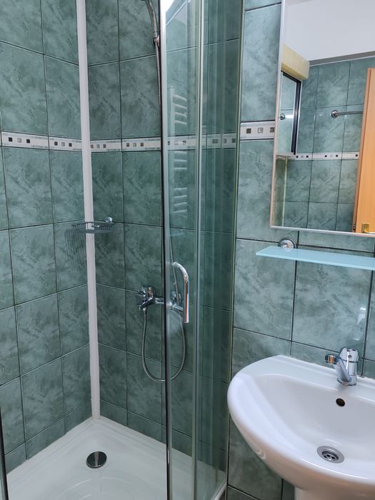 Persoana fizica in chirie de la 1 Iulie 2026 apartament cu o camera in zona Marasti,  Teodor Mihali