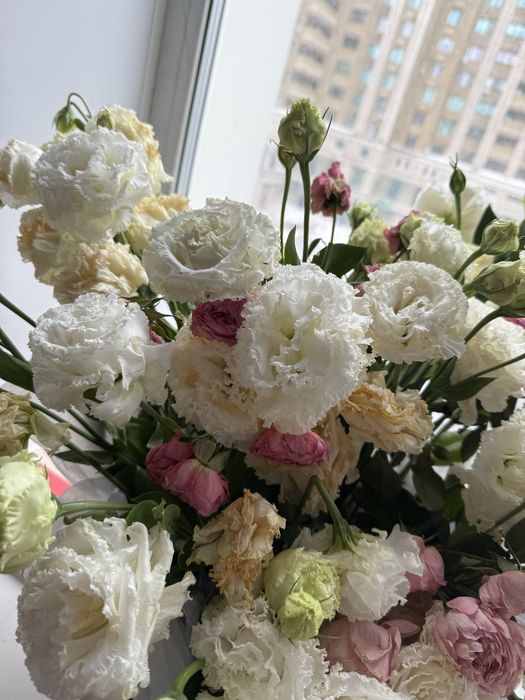 Цветы шикарные в корзине