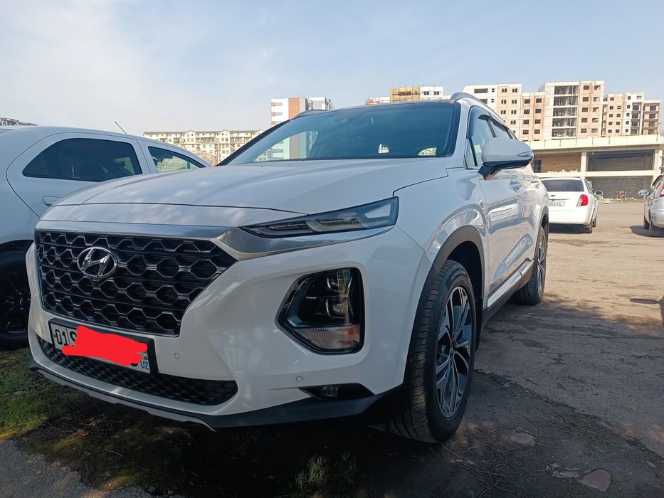 Hyundai Santa Fe full poziciya