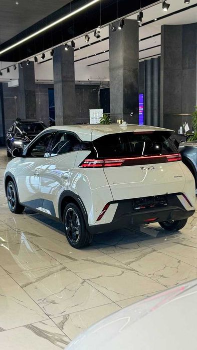 BYD SEAGULL 405KM Flying 2024 от Официального ДИЛЕРА BYD ROHAT