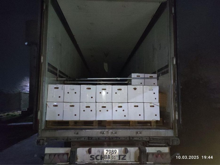 Инкубационное яйцо бройлеров