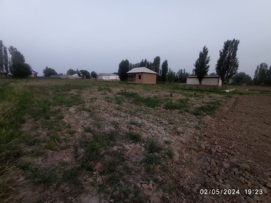 Yer uchaska betoni quyilgan gilos kochat ekilgan trassaga yaqin joyda