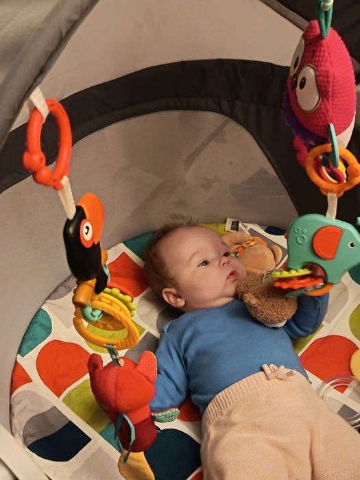 Столче за хранене, проходилка, Уокър, активна гимнастика, малка кошара