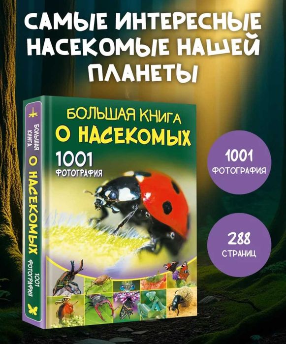 Книга про насекомых