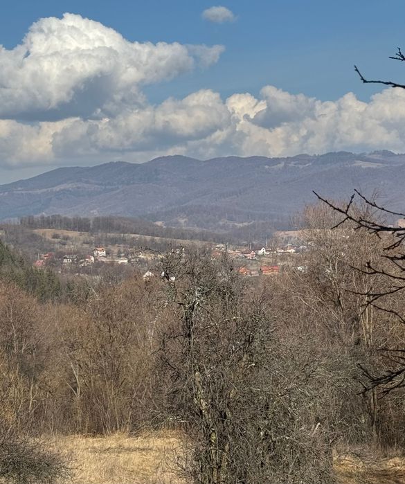 Teren Cerbureni Arges