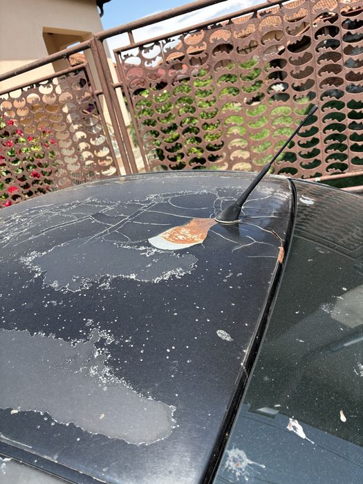WV beetle  в движение