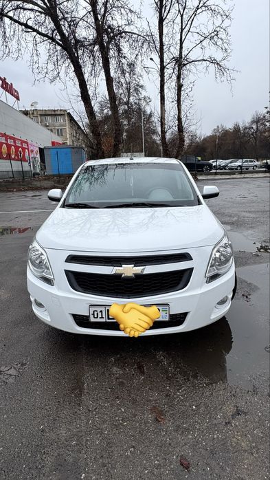 Instruktor, moshina boshqarish o’rgatuvchi, Testga tayyorlash, Prava