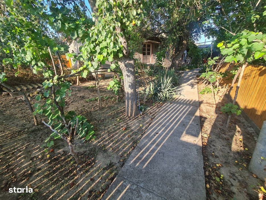 Ceamurlia de jos- casa batraneasca cu 3.200 mp teren