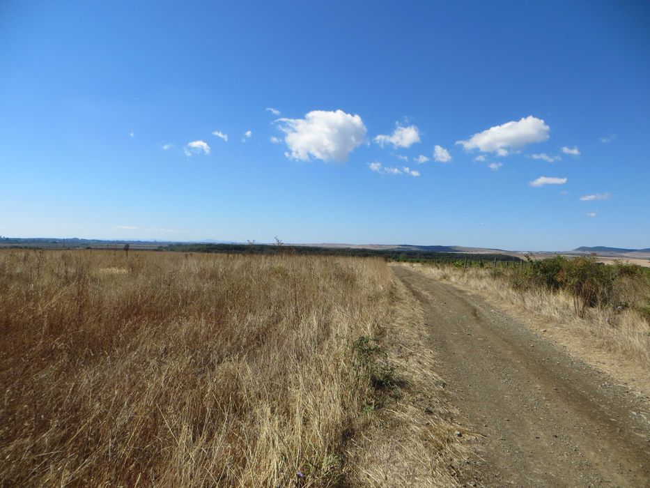 Продава се Парцел в с. Кошарица, Област Бургас - 2050 кв.м за 35 €/кв.м - Снимка #2