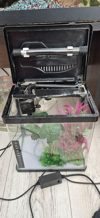 Vand acvariu 6L+pompa, filtru si plante artificiale