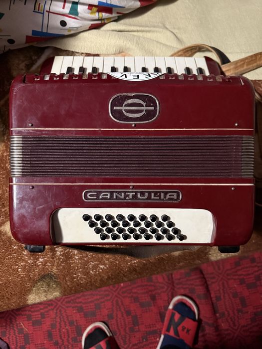 Acordeoane Hohner Student si Cantulia 32 basi