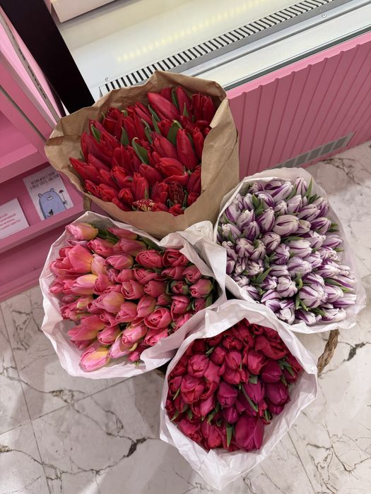 Тюльпаны Оптом по 500 тенге