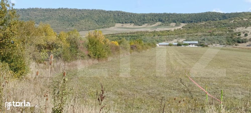 Teren 49 Ari, partial intravilan 13 ari, cu deschidere la DN17, Sieu M