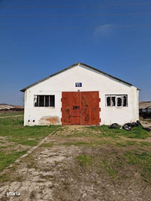 Ferma de vanzare 8 ha – Bals, judetul Olt