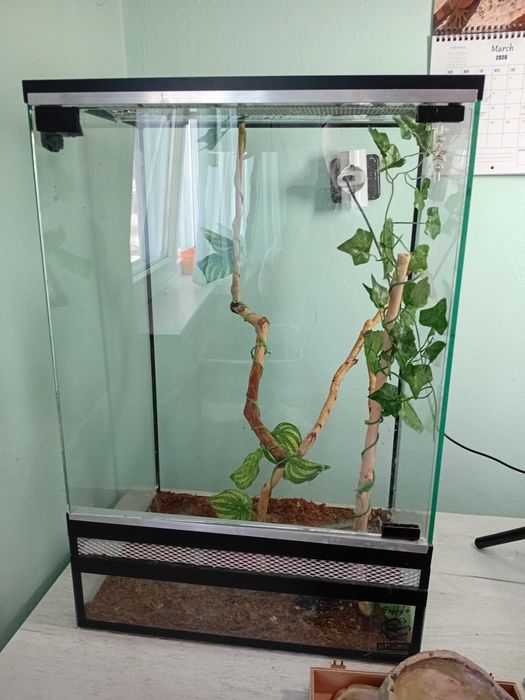 Терариум терароум терариум