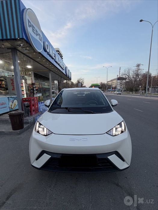 Byd seagull srochna sotiladi
