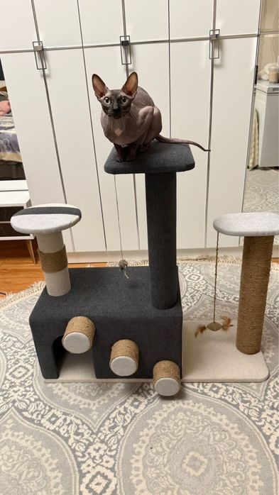 Когтеточка дом для кошки