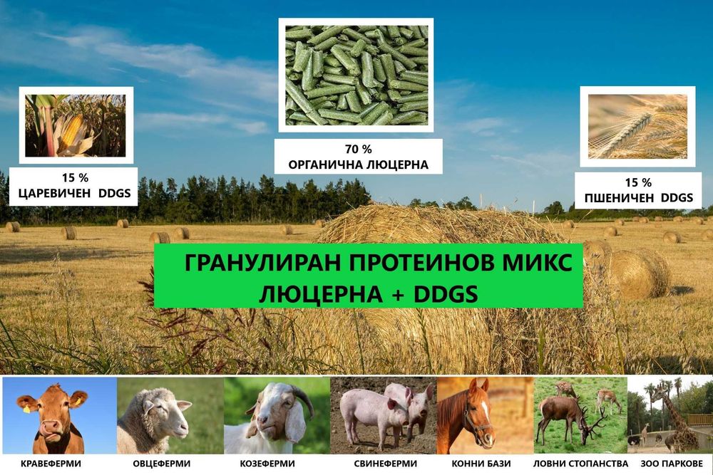 Люцерна ( гранулирана )