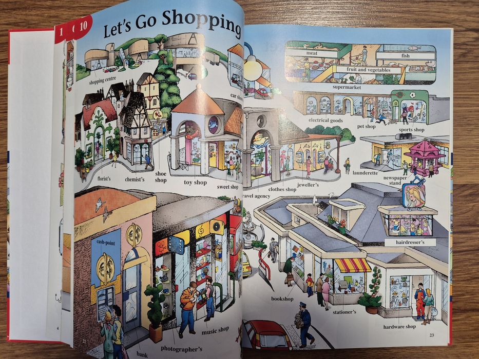 Lot dictionare in imagini si carte bilingva