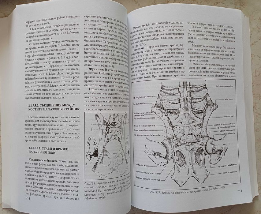 Учебник по систематична и топографска анатомия