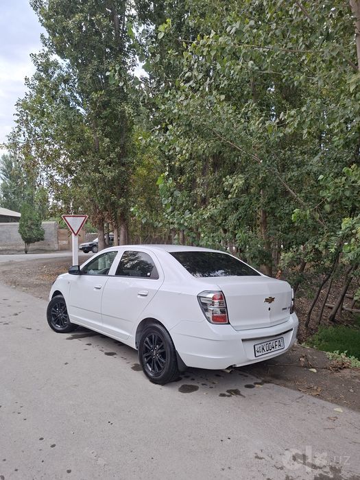 Masla holatda kraska toza