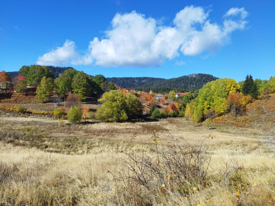 Продава се Парцел в Смолян, Езерово - 3136 кв.м за 35 €/кв.м - Снимка #4