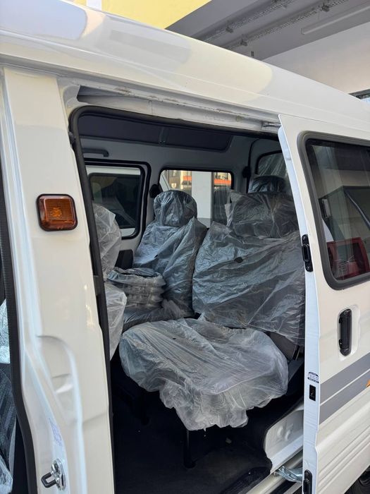 Bez prabeg Labo Damasla bor