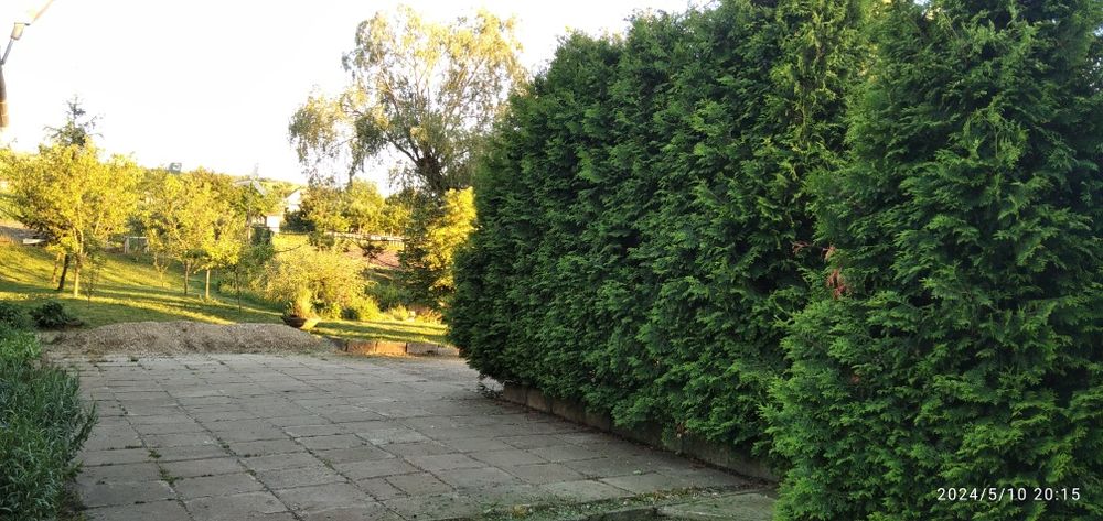 Vand casa cu 4,80 ha in Viișoara